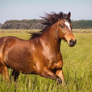 Meet your Posher, Evelyn